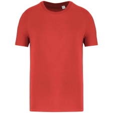 Native Spirit NS300 ECO-FRIENDLY UNISEX T-SHIRT XS munkaruha