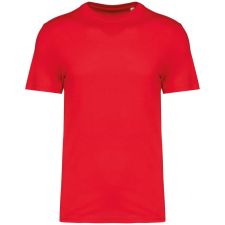 Native Spirit NS300 ECO-FRIENDLY UNISEX T-SHIRT XS munkaruha