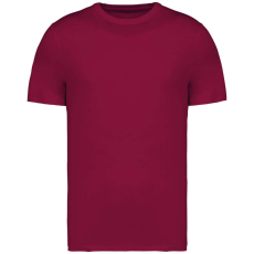  Native Spirit NS305 UNISEX ECO-FRIENDLY T-SHIRT XL