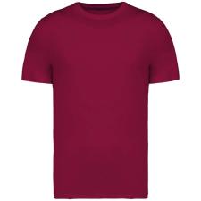 Native Spirit NS305 UNISEX ECO-FRIENDLY T-SHIRT XL munkaruha