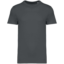 Native Spirit NS305 UNISEX ECO-FRIENDLY T-SHIRT XL munkaruha