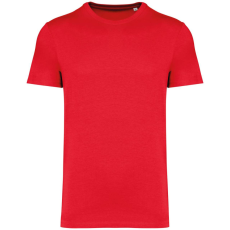Native Spirit NS305 UNISEX ECO-FRIENDLY T-SHIRT XL