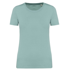 Native Spirit NS324 LADIES' T-SHIRT XS