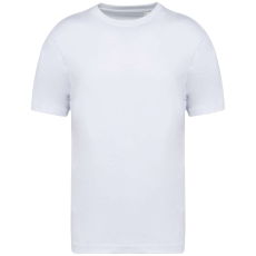 Native Spirit NS332 MEN'S OVERSIZED T-SHIRT 2XL