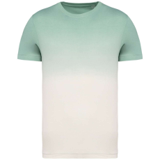 Native Spirit NS345 UNISEX ECO-FRIENDLY DIP DYE T-SHIRT L