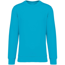 Native Spirit NS400 ECO-FRIENDLY UNISEX ROUND NECK SWEATSHIRT L munkaruha