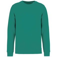 Native Spirit NS400 ECO-FRIENDLY UNISEX ROUND NECK SWEATSHIRT L