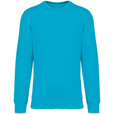 Native Spirit NS400 ECO-FRIENDLY UNISEX ROUND NECK SWEATSHIRT XS