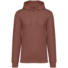 Native Spirit NS401 ECO-FRIENDLY UNISEX HOODED SWEATSHIRT XS