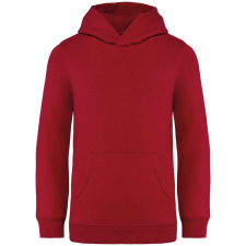 Native Spirit NS404 KIDS’ HOODED SWEATSHIRT 10/12 gyerek pulóver, kardigán