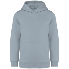 Native Spirit NS404 KIDS’ HOODED SWEATSHIRT 10/12 gyerek pulóver, kardigán