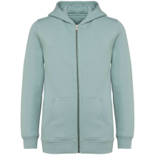 Native Spirit NS405 ECO-FRIENDLY KIDS’ FULL ZIP HOODED SWEATSHIRT 8/10 gyerek pulóver, kardigán