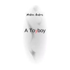 Nattán András (magánkiadás) A Toyboy egyéb e-könyv