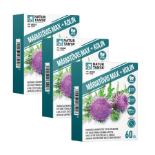 Natur Tanya ® MÁRIATÖVIS MAX + KOLIN - Maximális mennyiségű szilimarin, kolinnal TRIO csomag 2x60 kapszula vitamin és táplálékkiegészítő