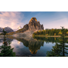  Natura100 öntapadó és mosható fali tapéta, 250 x 200 cm tapéta, díszléc és más dekoráció