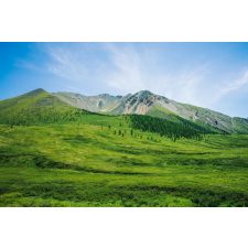  Natura108 öntapadó és mosható fali tapéta, 350 x 250 cm tapéta, díszléc és más dekoráció