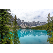  Natura28 öntapadós és mosható fali tapéta, 250 x 150 cm tapéta, díszléc és más dekoráció