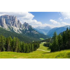  Natura46 öntapadós és mosható fali tapéta, 250 x 150 cm tapéta, díszléc és más dekoráció