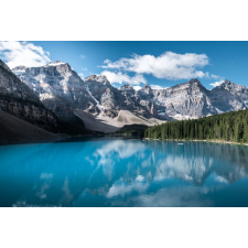  Natura50 öntapadó és mosható fali tapéta, 350 x 200 cm tapéta, díszléc és más dekoráció