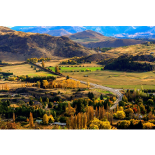  Natura57 öntapadó és mosható fali tapéta, 250 x 150 cm tapéta, díszléc és más dekoráció