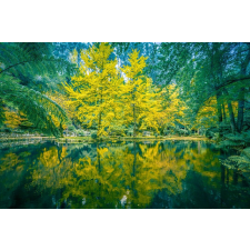  Natura60 öntapadós és mosható fali tapéta, 250 x 200 cm tapéta, díszléc és más dekoráció