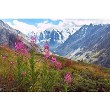  Natura64 öntapadós és mosható fali tapéta, 250 x 200 cm tapéta, díszléc és más dekoráció