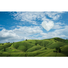  Natura67 öntapadós és mosható fali tapéta, 200 x 150 cm tapéta, díszléc és más dekoráció