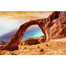  Natura74 öntapadó és mosható fali tapéta, 300 x 200 cm tapéta, díszléc és más dekoráció