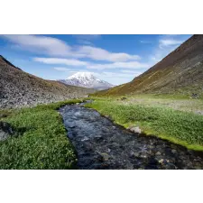  Natura80 tapéta, 300 x 250 cm tapéta, díszléc és más dekoráció