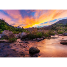  Natura88 öntapadó és mosható fali tapéta, 250 x 150 cm tapéta, díszléc és más dekoráció