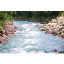  Natura89 öntapadó és mosható fali tapéta, 250 x 200 cm tapéta, díszléc és más dekoráció