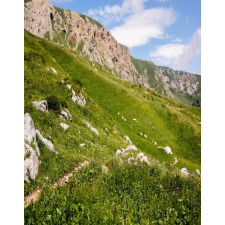  Natura90 öntapadós tapéta, 150 x 205 cm tapéta, díszléc és más dekoráció