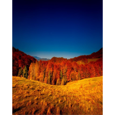  Natura92 öntapadós tapéta, 150 x 205 cm tapéta, díszléc és más dekoráció