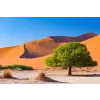  Natura93 öntapadós és mosható fali tapéta, 250 x 150 cm