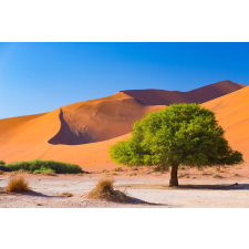  Natura93 öntapadós és mosható fali tapéta, 250 x 200 cm tapéta, díszléc és más dekoráció