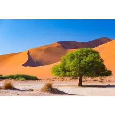  Natura93 tapéta, 300 x 200 cm tapéta, díszléc és más dekoráció