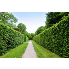  Natura94 öntapadós és mosható fali tapéta, 350 x 200 cm tapéta, díszléc és más dekoráció