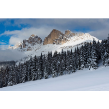  Natura95 öntapadós tapéta, 250 x 200 cm tapéta, díszléc és más dekoráció