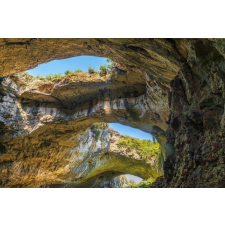  Natura97 öntapadós és mosható fali tapéta, 200 x 150 cm tapéta, díszléc és más dekoráció