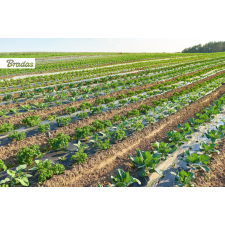 NATURE Takarófólia 1m x 50m, 15 mic. fekete, előrelyukasztott. ragasztószalag és takarófólia