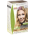 NATURIGIN 10.3 Beige Golden Blonde