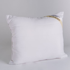 NATURTEX Clima Control kispárna 40x50 cm lakástextília