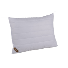 Naturtex Clima Control párna 40x50 cm 300g lakástextília