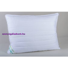 NATURTEX NAT. Kispárna Aloe Vera 40x50cm lakástextília