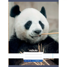 Nebulo : Panda mintás vonalas füzet 81-32 A/4 füzet