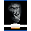 Nebulo : Tűzött sima gorilla mintás füzet 80-32 A/4