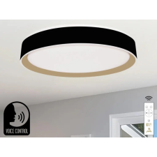 Nedes LED mennyezeti okos lámpa 48W dimmelhető 2700K-6500K IP20 távirányítóval hangvezérlés - LC902MBV világítás