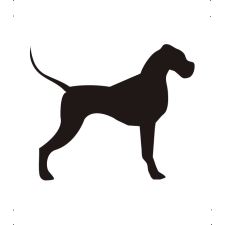  Német Dog kutya autó matrica fekete #191 matrica