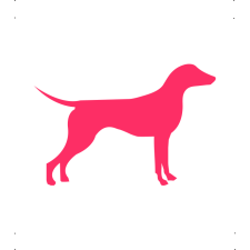  Német Pincser kutya autó matrica pink #198 matrica