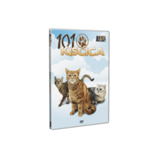 Neosz Kft. 101 Kiscica (Dvd) ismeretterjesztő